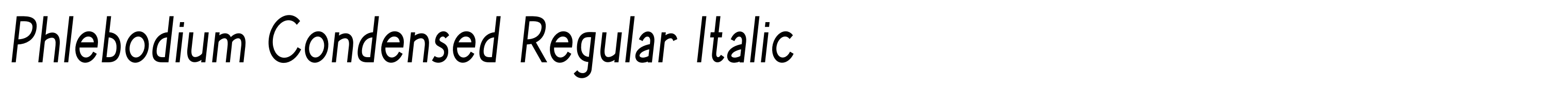 Phlebodium Condensed Regular Italic